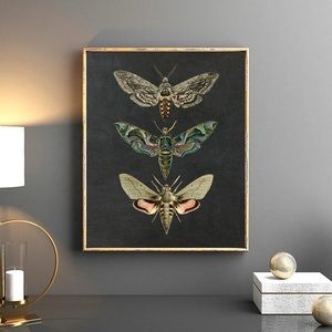 moth art painting